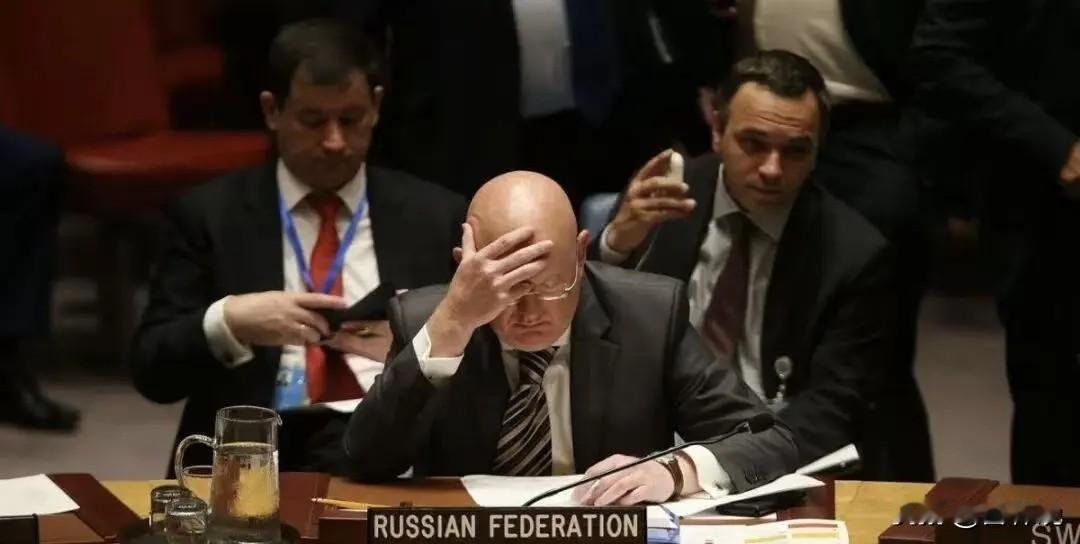 联合国安理会会议上，俄罗斯代表涅边贾指责拉脱维亚默许乌克兰无人机使用其领空发起袭