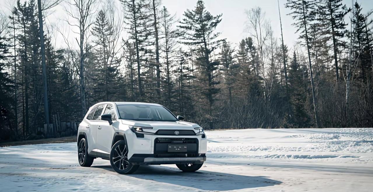 18🌙我的年度菱感记忆
这几天很多城市下起了大暴雪，朋友圈里全是堵车和打滑的抱