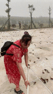 不懂就问，
为什么有这么多螃蟹？
