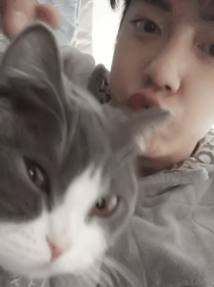 👈🏻还有15分钟，来签到，签到，签到！！！！！互相提醒📢 