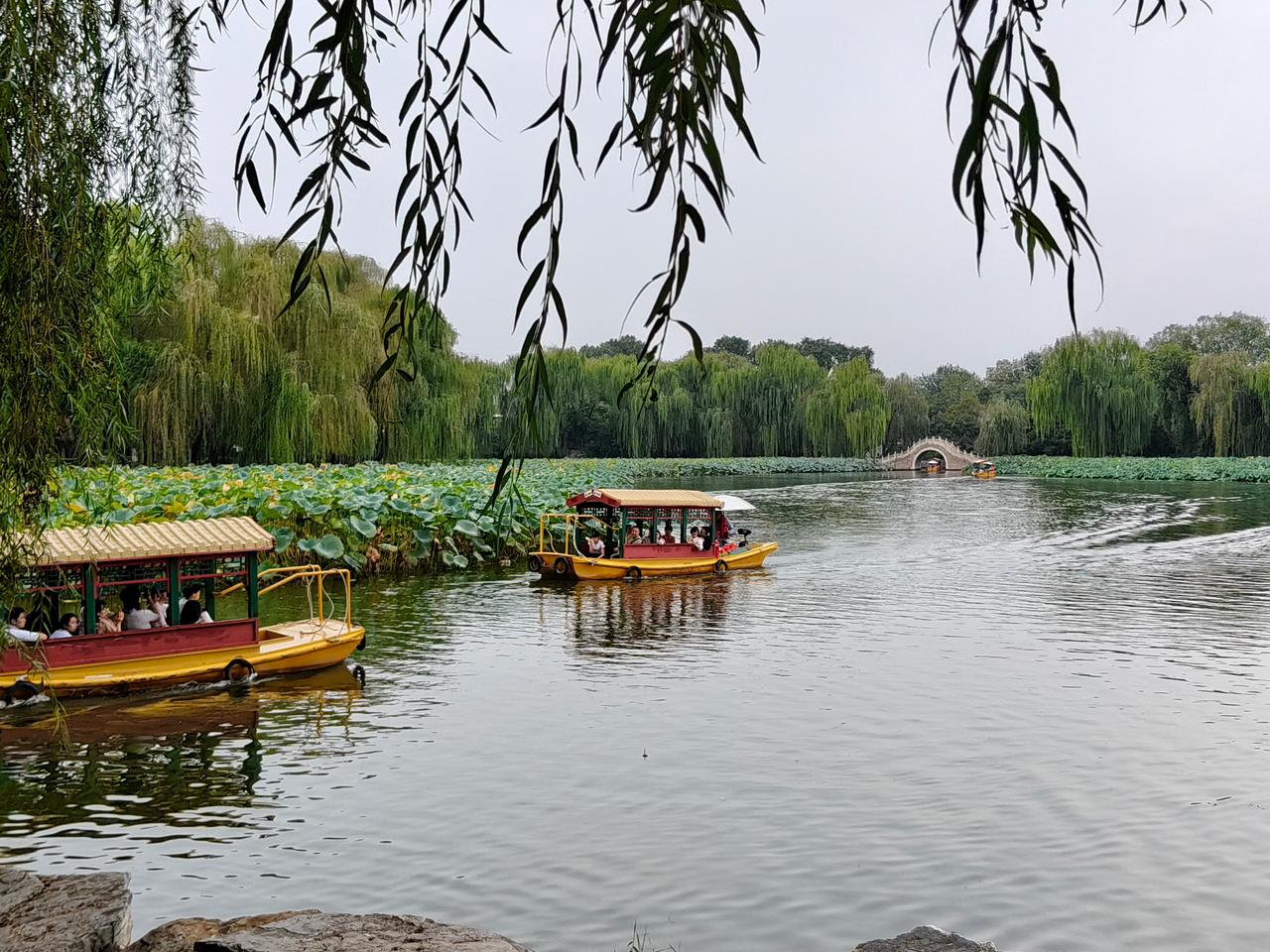 今天午前和路老师约在北大东南门碰面，两人步行前往圆明园。
我们从圆明园南门进入，
