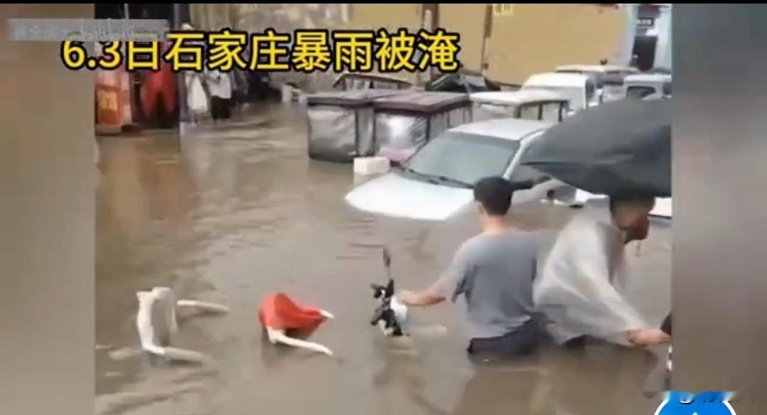 提醒大家雷雨天离大树远点，人没事比啥都强！🌪️🌲