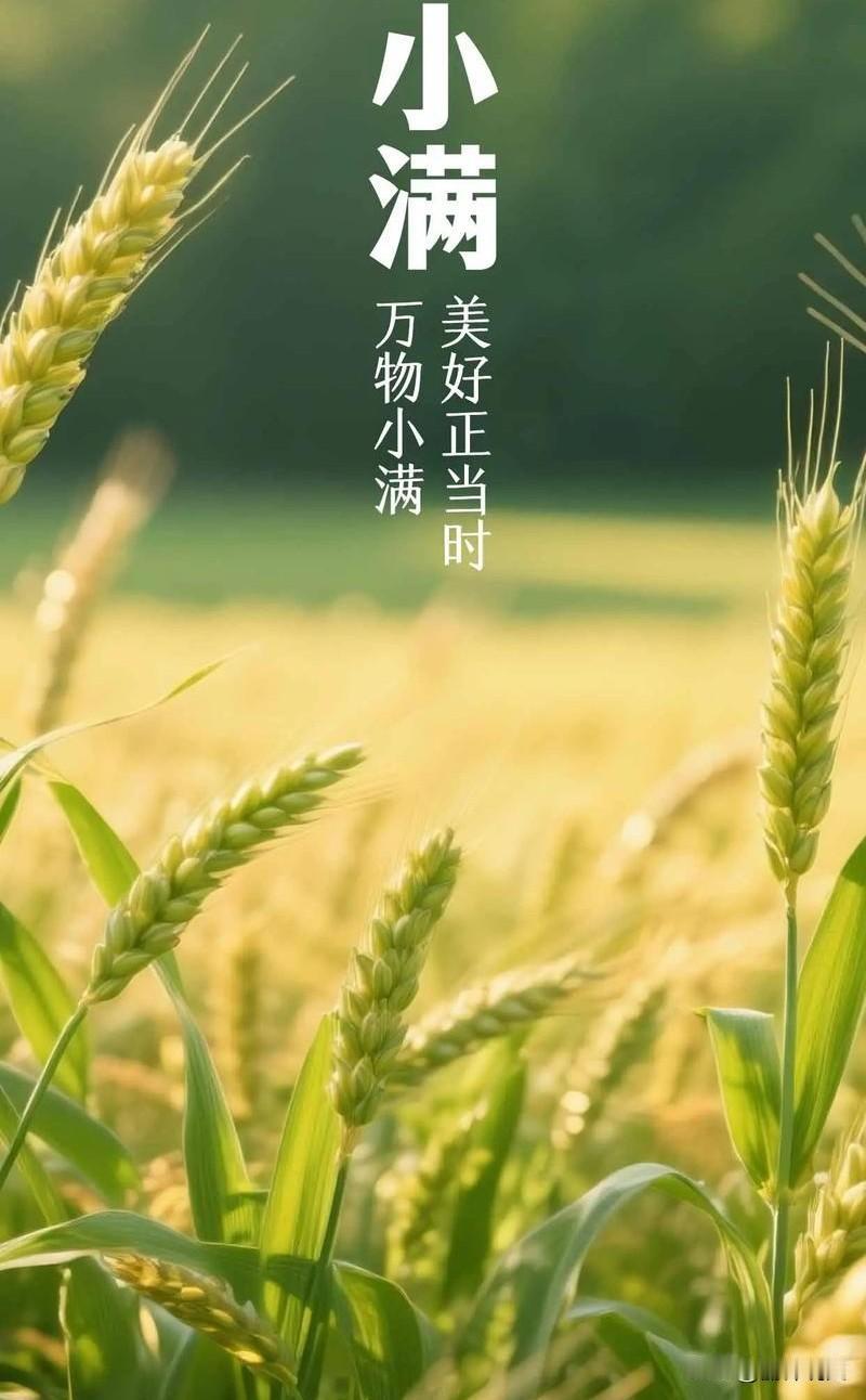 5月21日小满！今年不一般，老辈说“小满在头，雨不休”
 




5月21日早