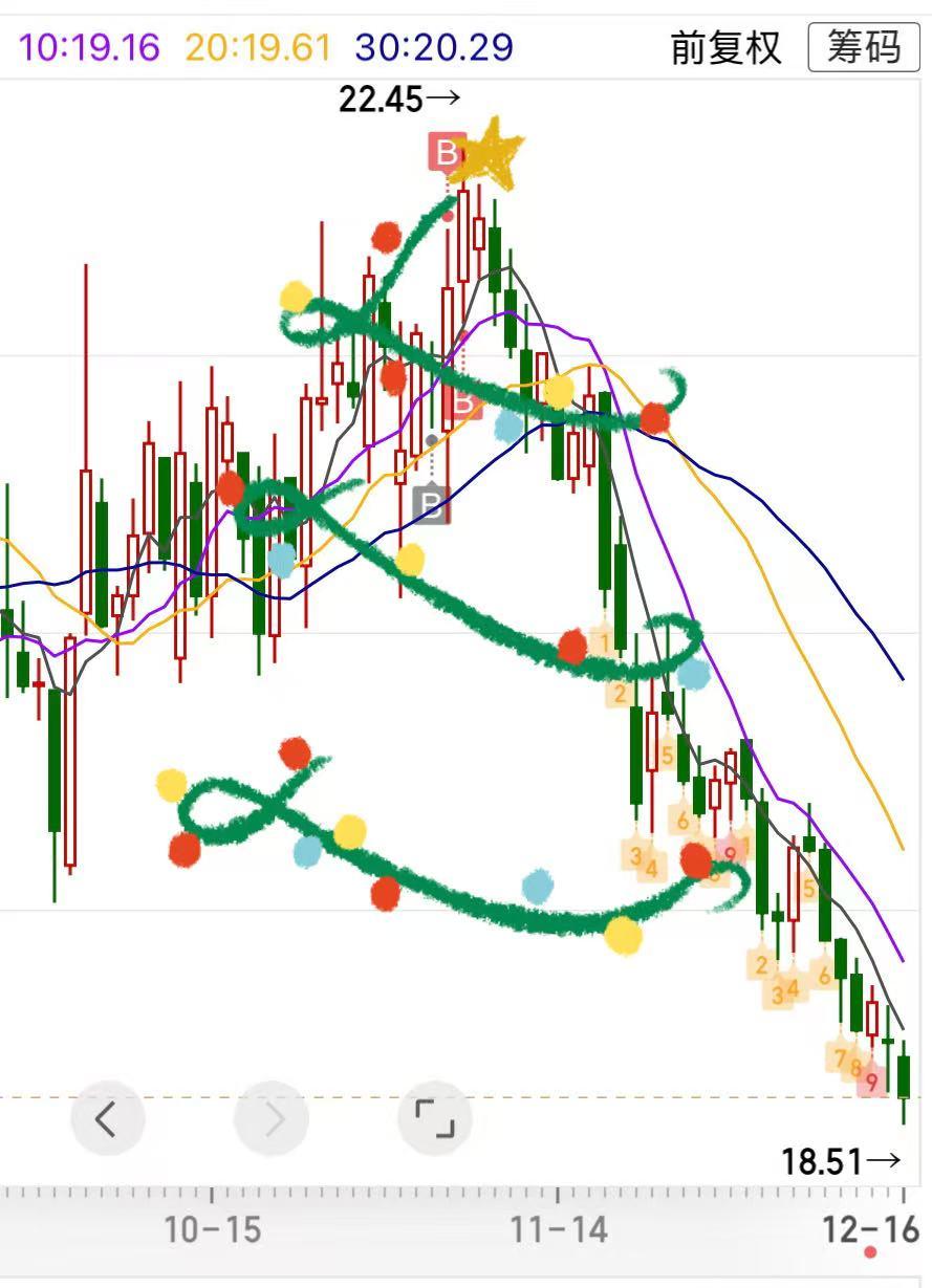 今天收到一颗圣诞树，只是看着它，笑不出来！
大家知道这是什么股票吗？太惨烈了。