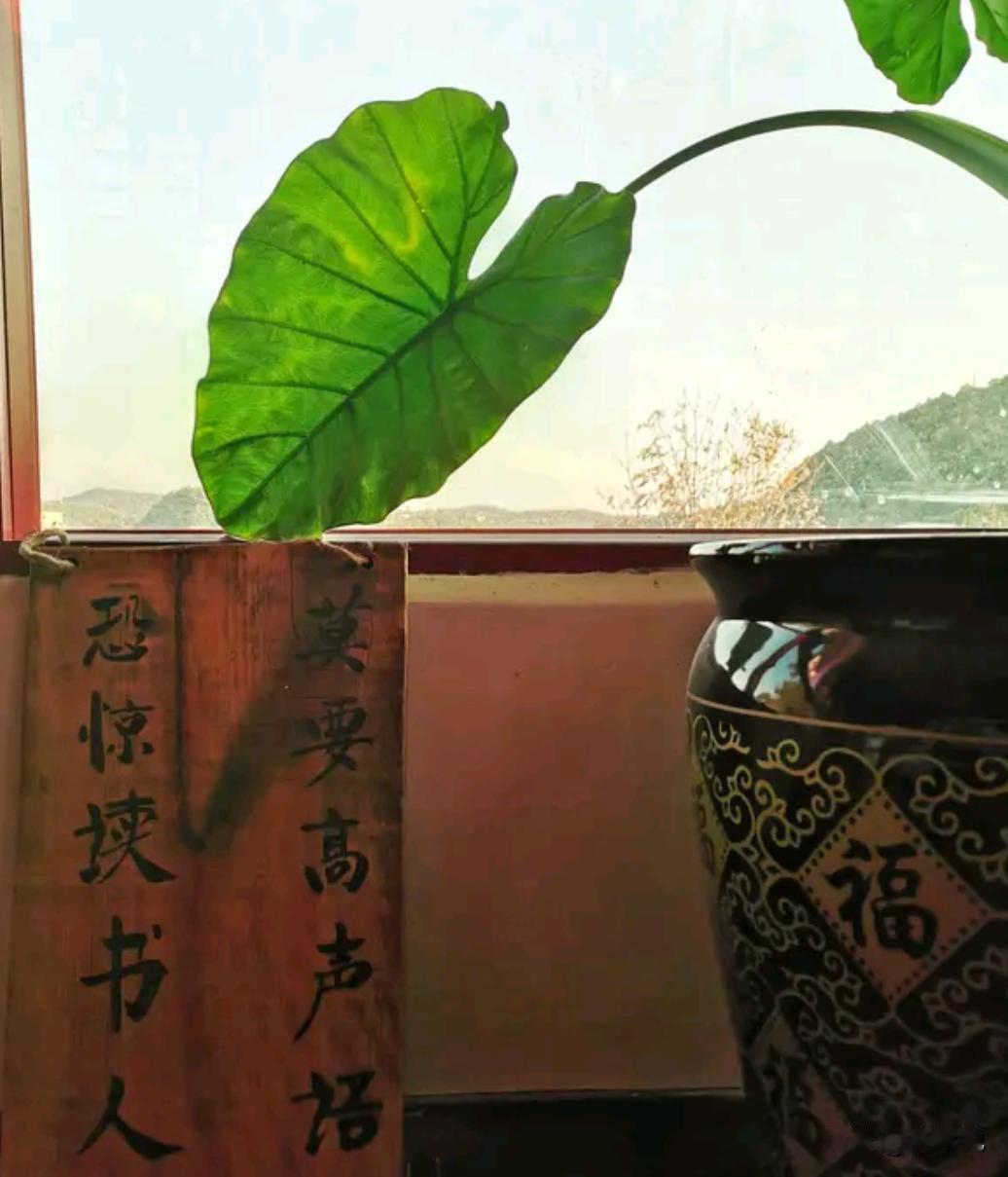 见过学识渊博之人，说话轻声谦和，与人争执也条理温和，从无高声斥责；反观浅薄之人，