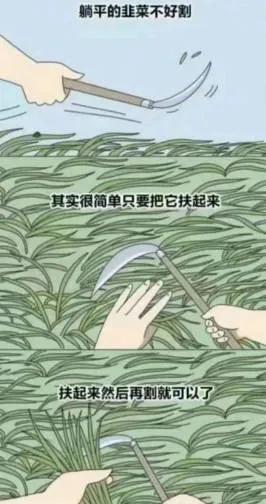 现在扶都不想扶，打算直接挖了