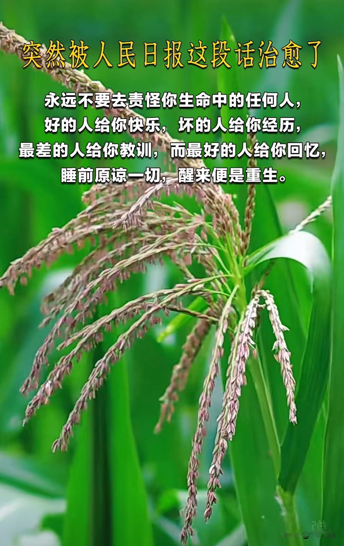 相信这个世界上，有一束光是为你打的，有一个舞台会因你而亮。