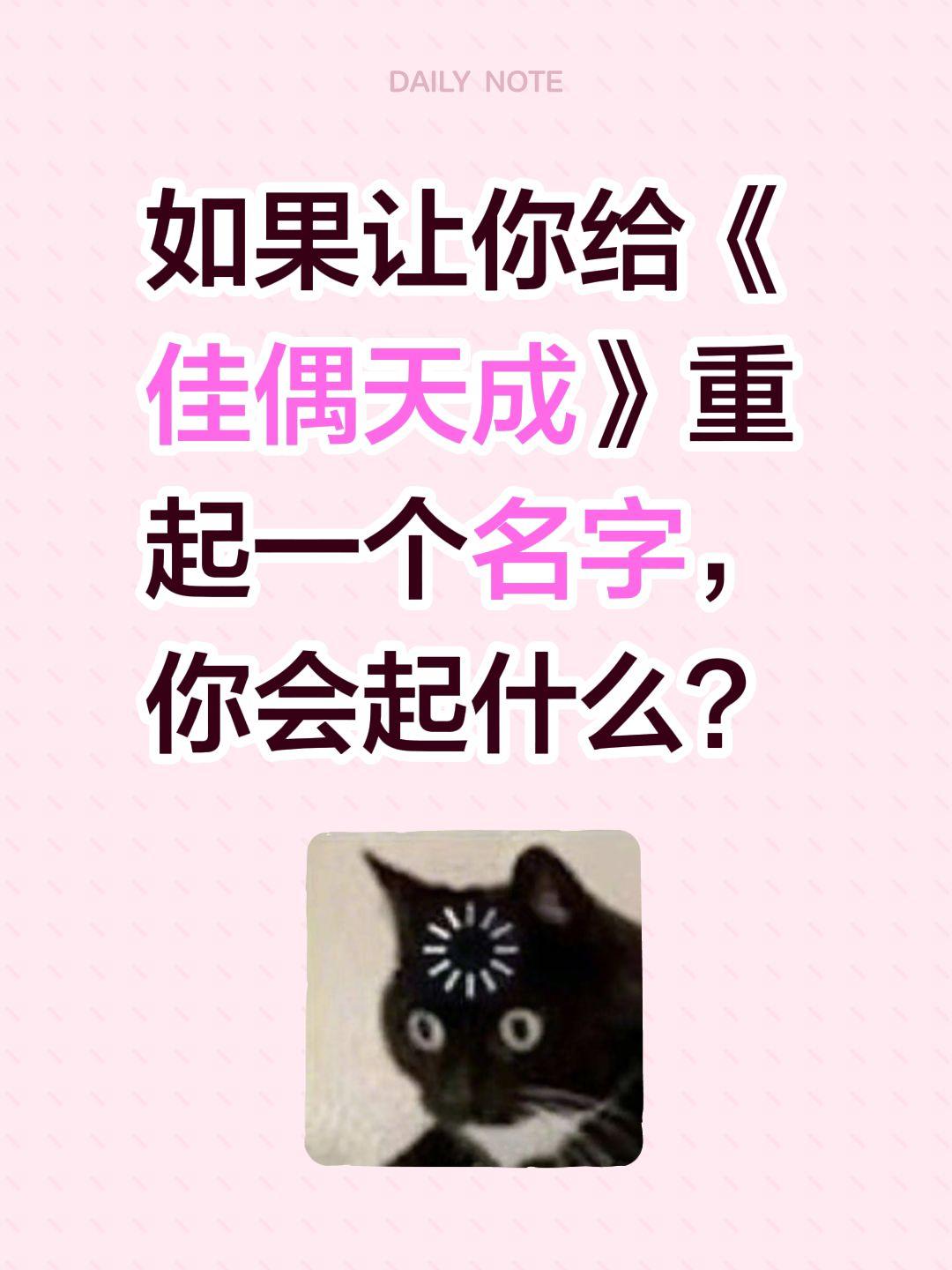 如果让你给《佳偶天成》重起一个名字，你会起什么？佳偶天成 任嘉伦 陆千乔 王鹤润