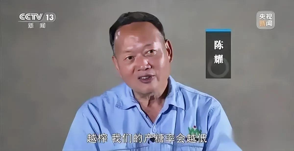 今年种甘蔗

蔗农没赚到钱

刨掉人工运输，基本等于白干！化州老板陈耀收甘蔗这事