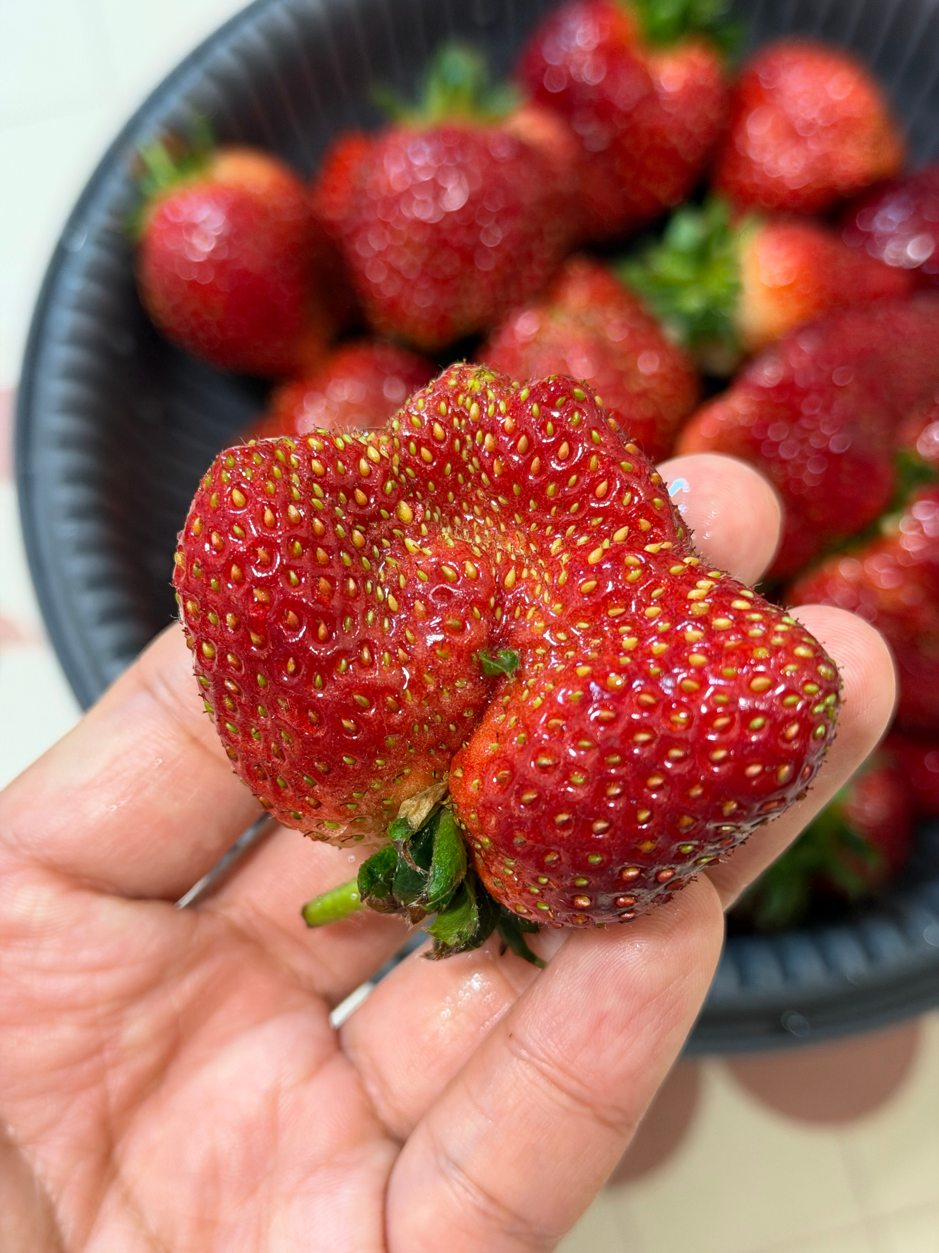 今天买的，叫黑珍珠草莓，好多奇形怪状的，一大盒才20 草莓价格跌至1元一斤