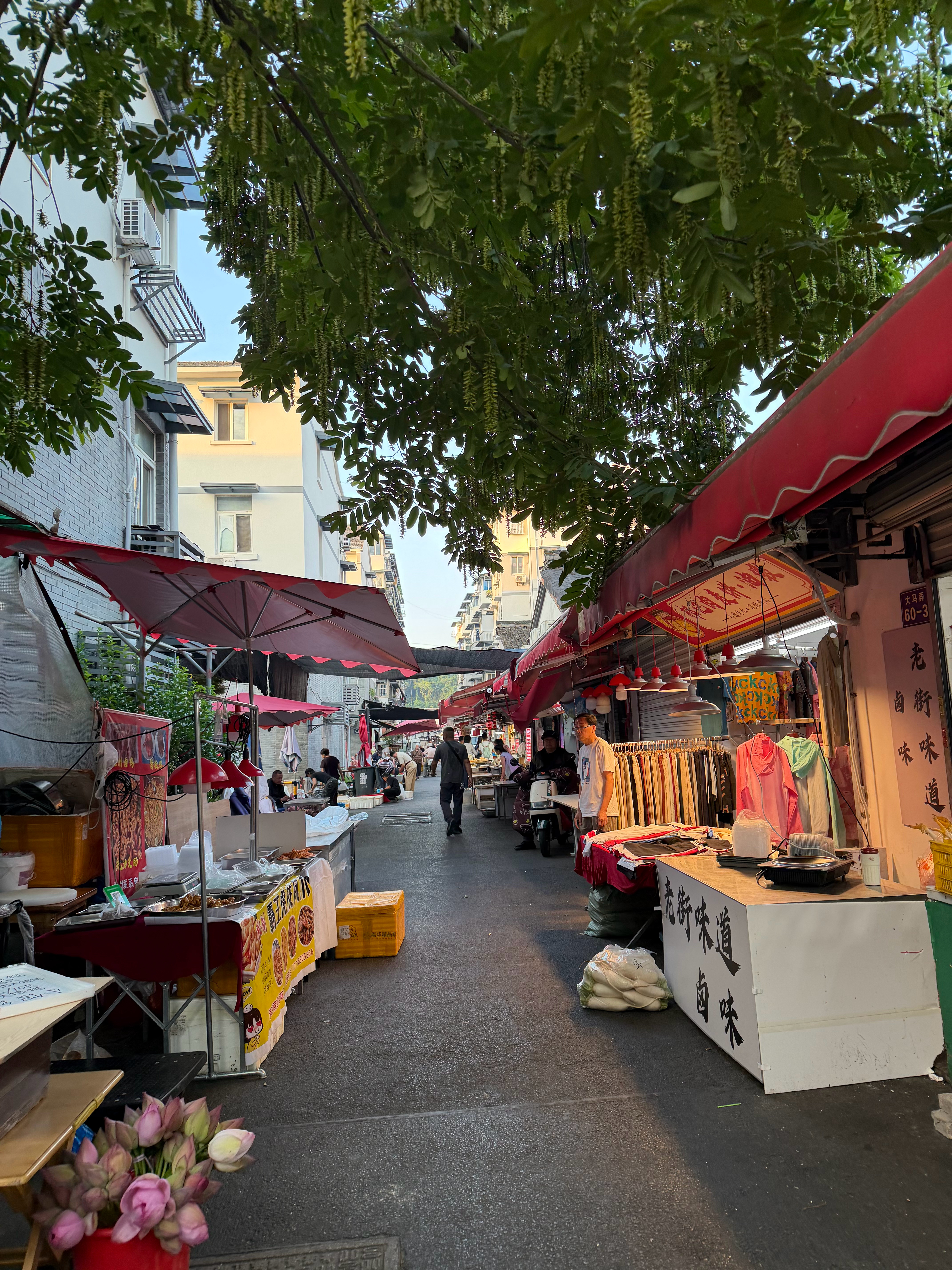 大清早逛早市 