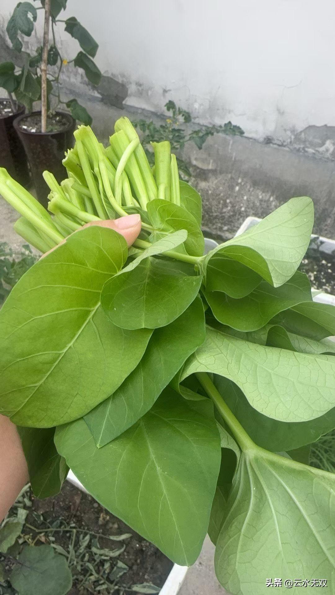 你不再执着别人对你说话的方式，不再执着一件事情一定要这么做。
你不再执着，一定要