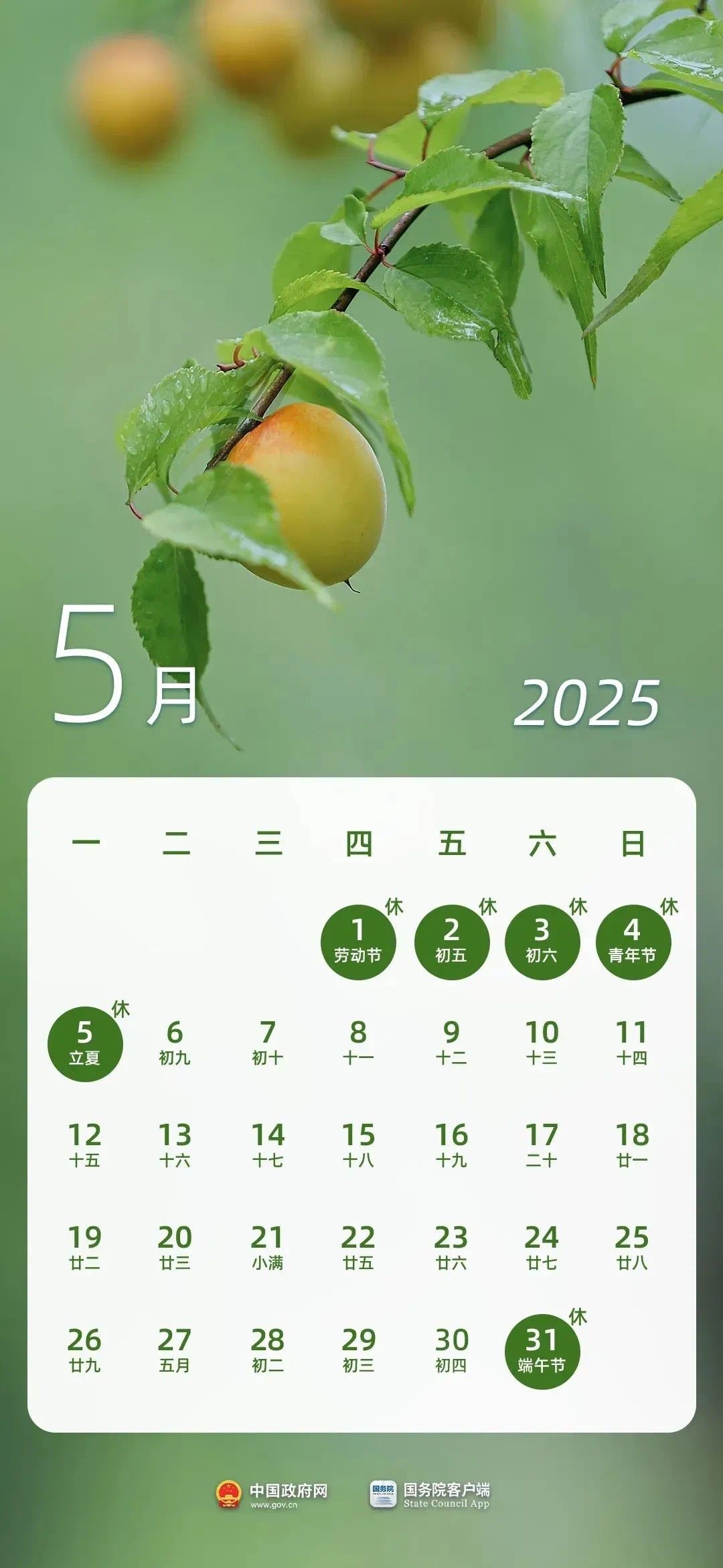 【#2025年端午节放假不调休#】 #2025端午节放假不调休# 盼望着盼望着下