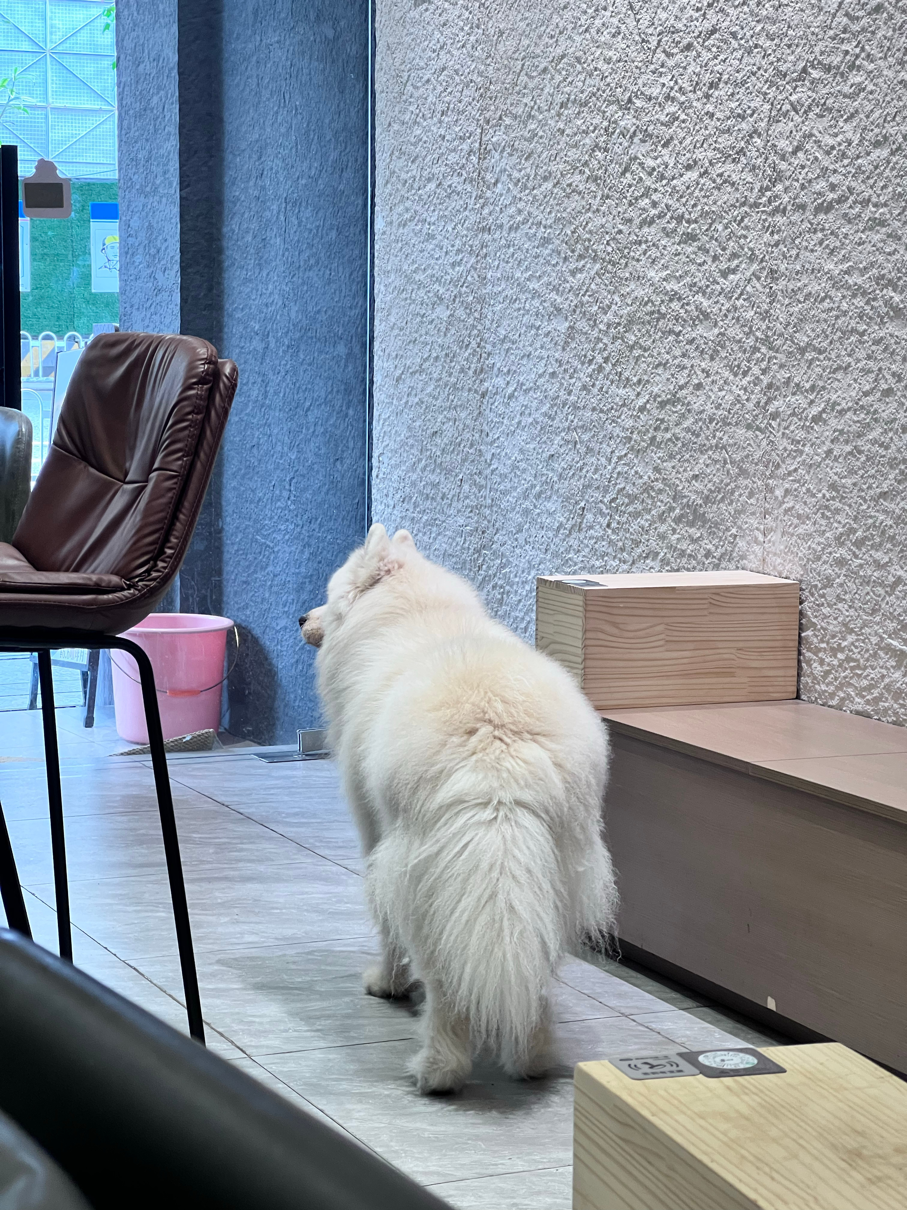 孩子们 凑太近会近视！ 