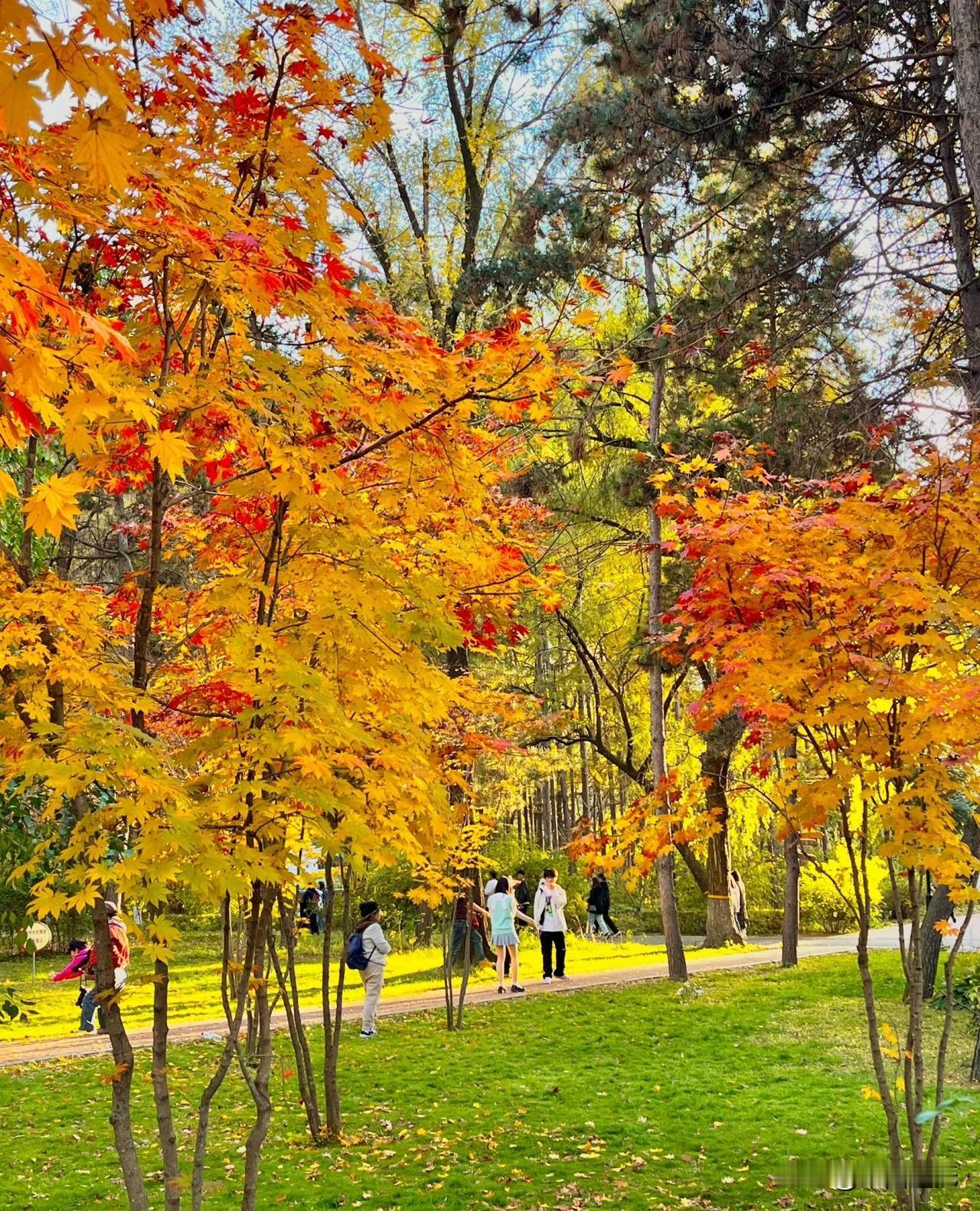 时维季秋，木叶摇落兮，风飒飒以过庭。
余独立乎山阿，望长天而太息兮，云悠悠其西行