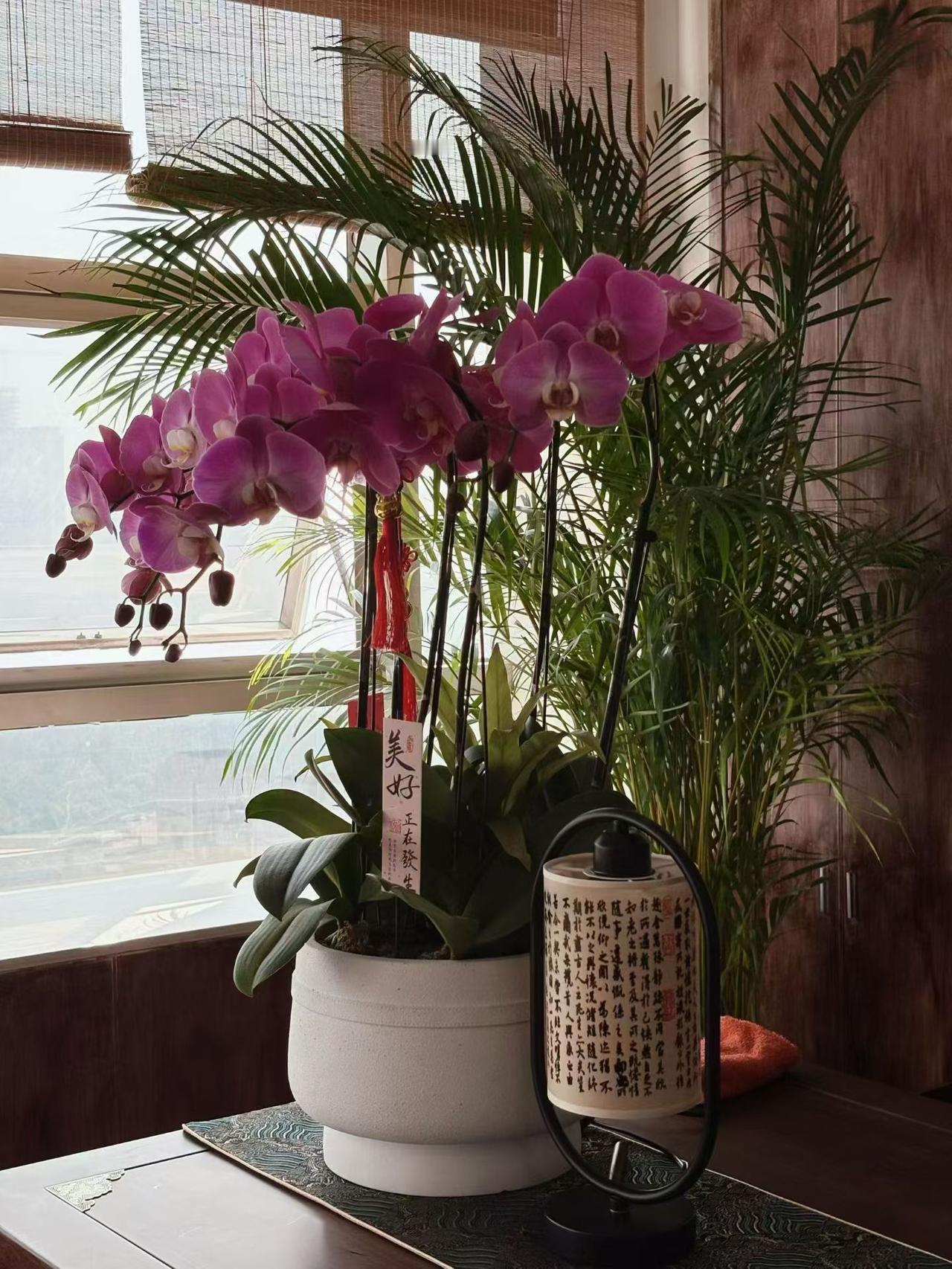 人生里的人来人往，真就像赶一趟没固定站点的车。有人陪你看几站风景，有人刚上车就匆