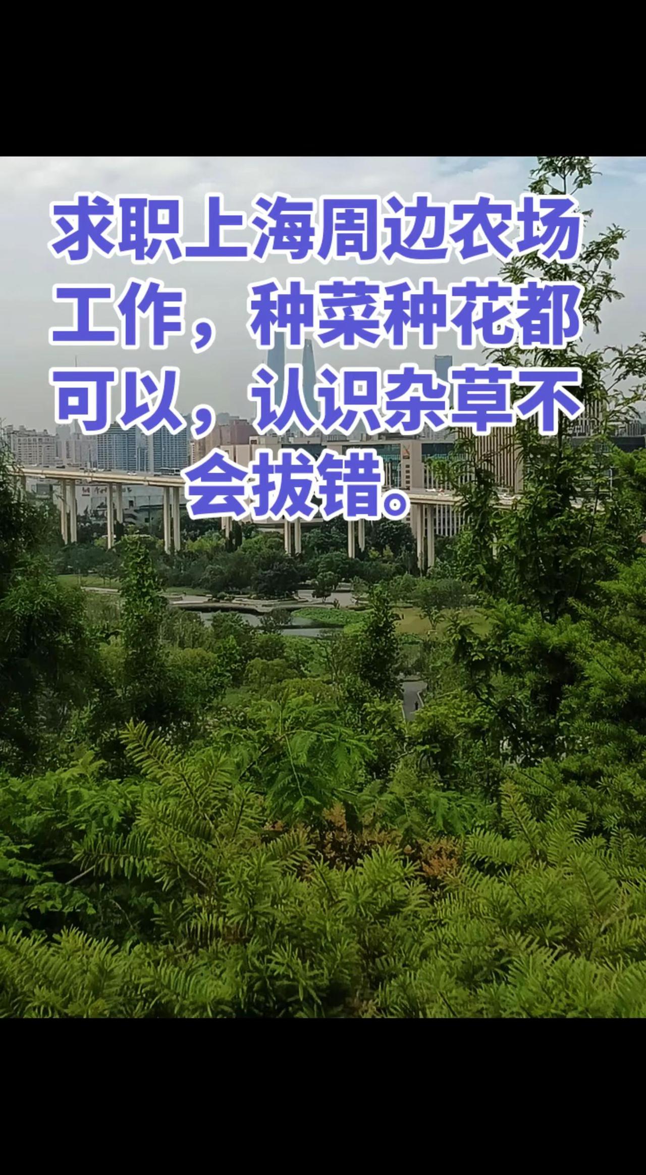 谁能圆我田园梦，得看看草盛豆苗稀。