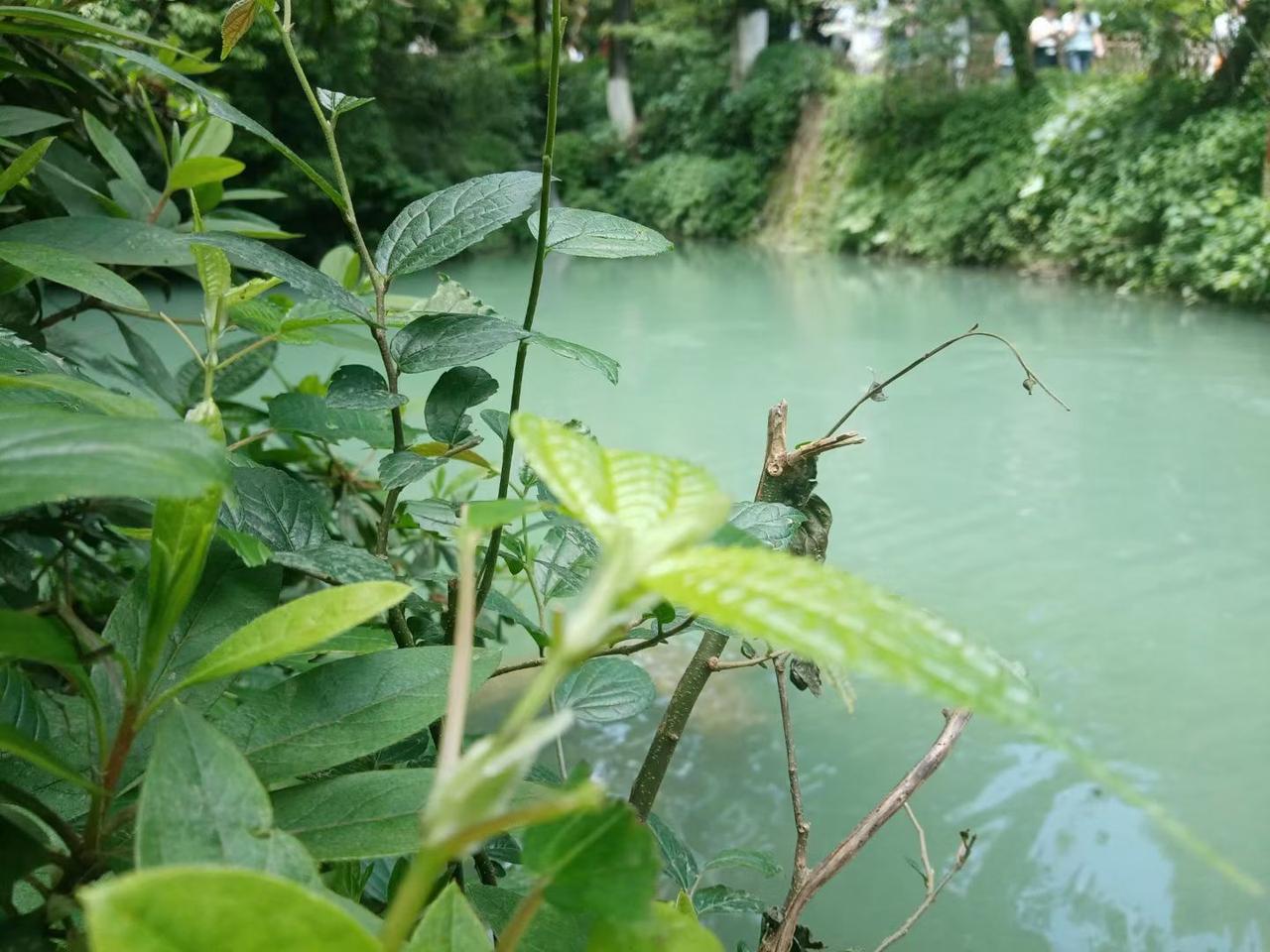 我认为心甘情愿，人生最大的幸福，莫过于含饴弄孙和知足常乐。
假期帮带孙辈，不是负