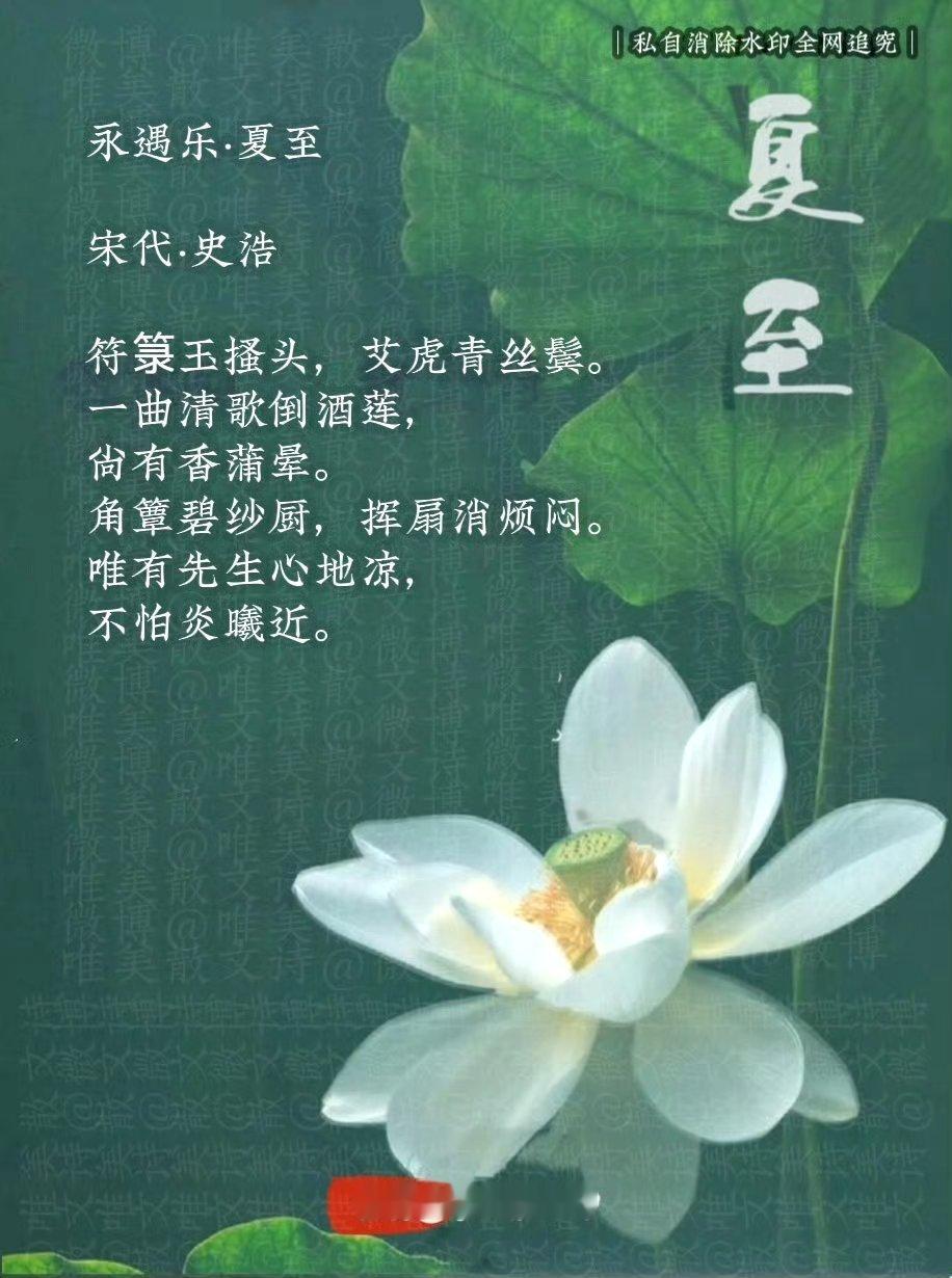 九首最美的夏至节气古诗词夏至