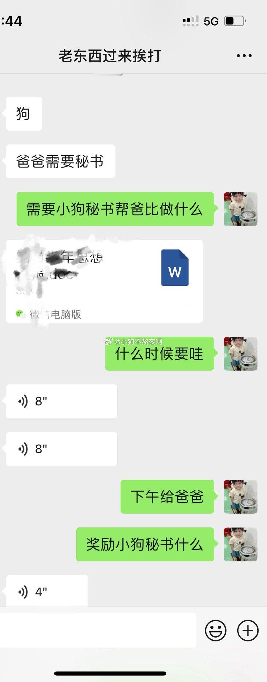 小狗秘书👩‍💼 ​​​