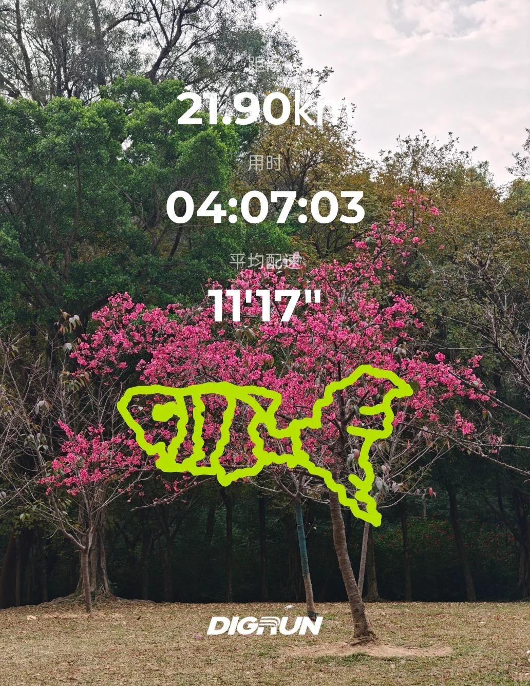 白云山画锦鲤，祝大家年年有鱼🐟
打工人放假前的最后一冲，献给白云山这条“锦鲤”