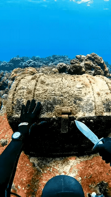 不懂就问，
这个是真的吗？