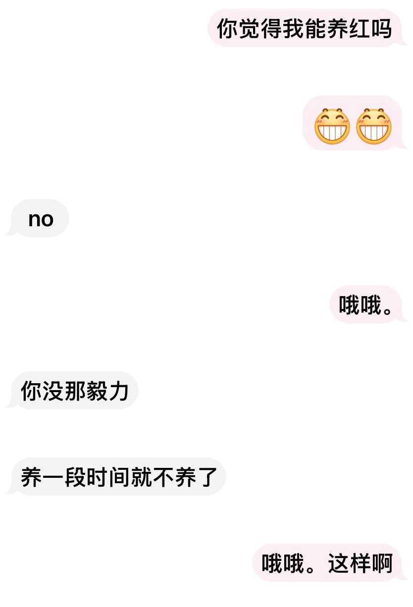 哦哦。 