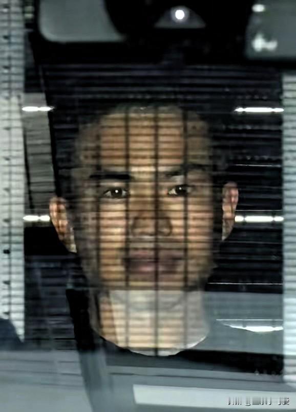 日本传来新消息：

2026年4月14日，日本共同社爆出大新闻，那个之前持刀强闯