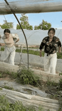 漂亮两女子咋干出这事呢，丑不丑呀！瞅瞅啥情况！
