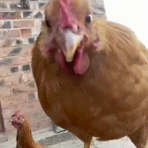 你萌在干嘛呀 ​​​