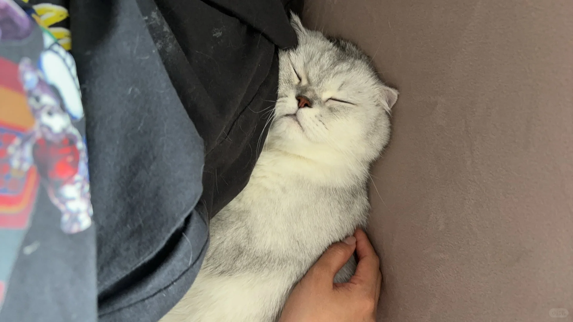 妈妈在家睡得特别好