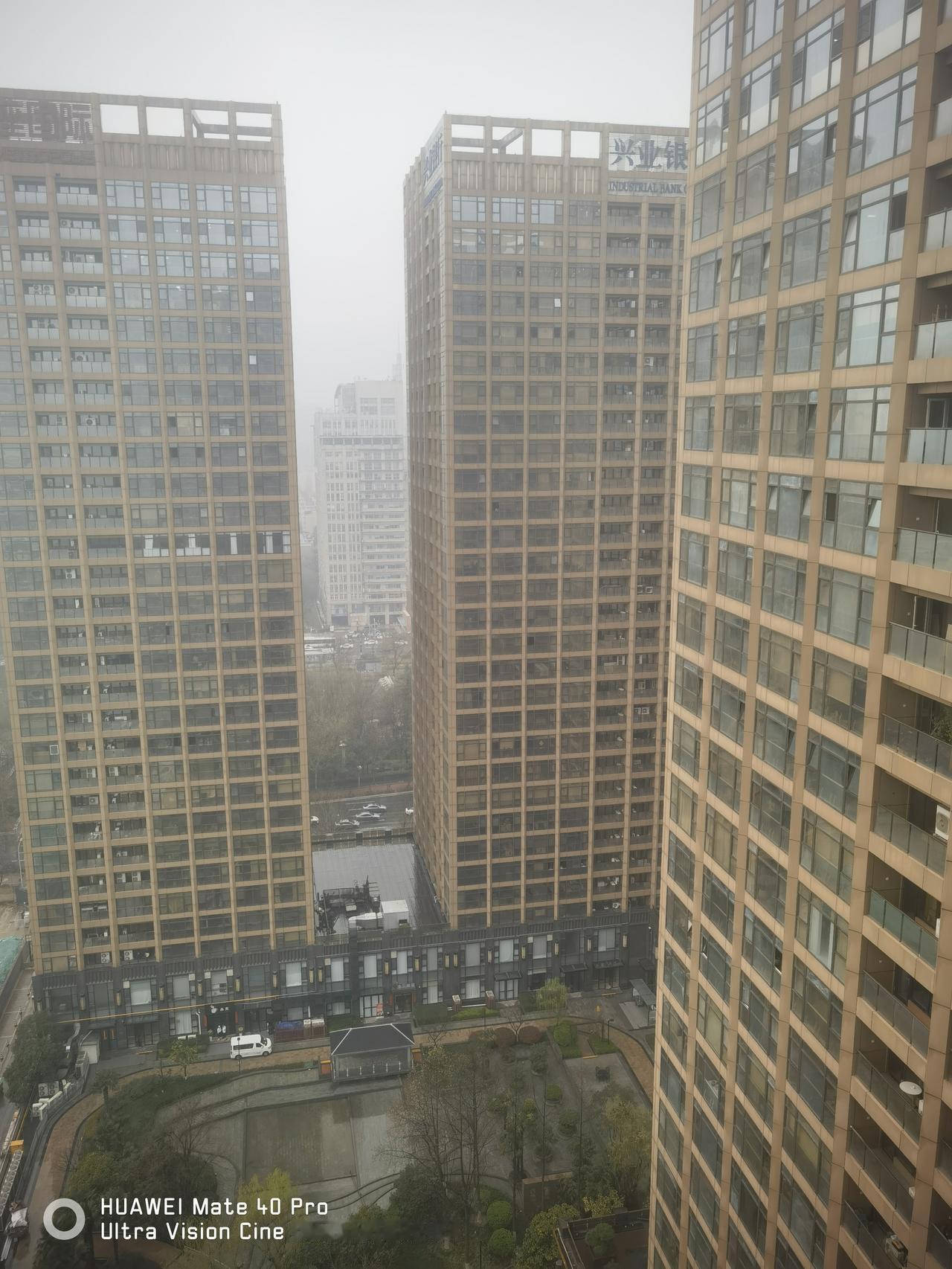 西安下中雨了！春雨贵如油，真应了“牛马年广收田”！