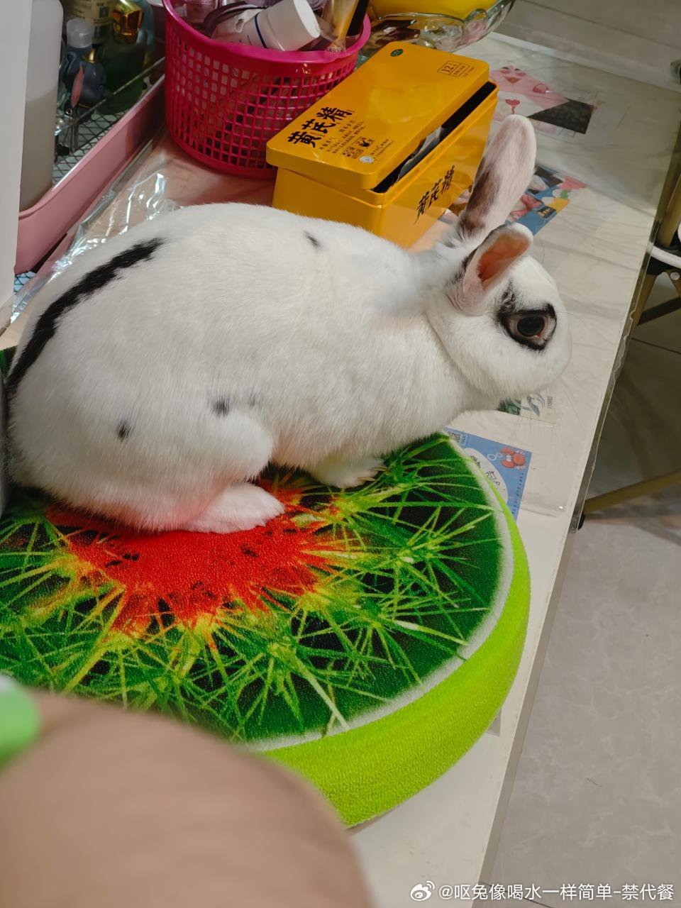 13712🐇【心灵丑】在学会上桌子后的一个深夜…… 
