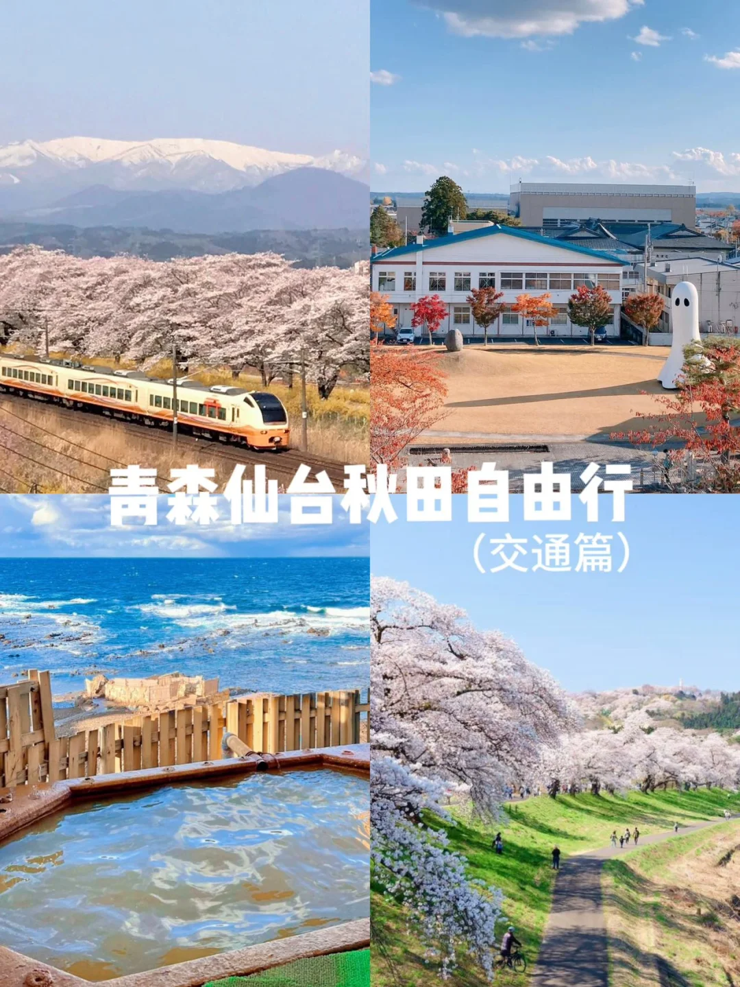人生建议，不要错过4-5月的日本东北🤲