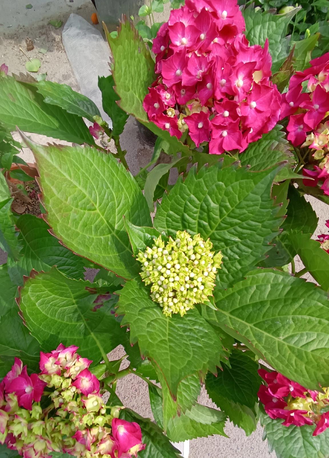 1. 人的一生最大的财富是什么?

2. 是健康的身体
3. 是幸福的家庭
4.