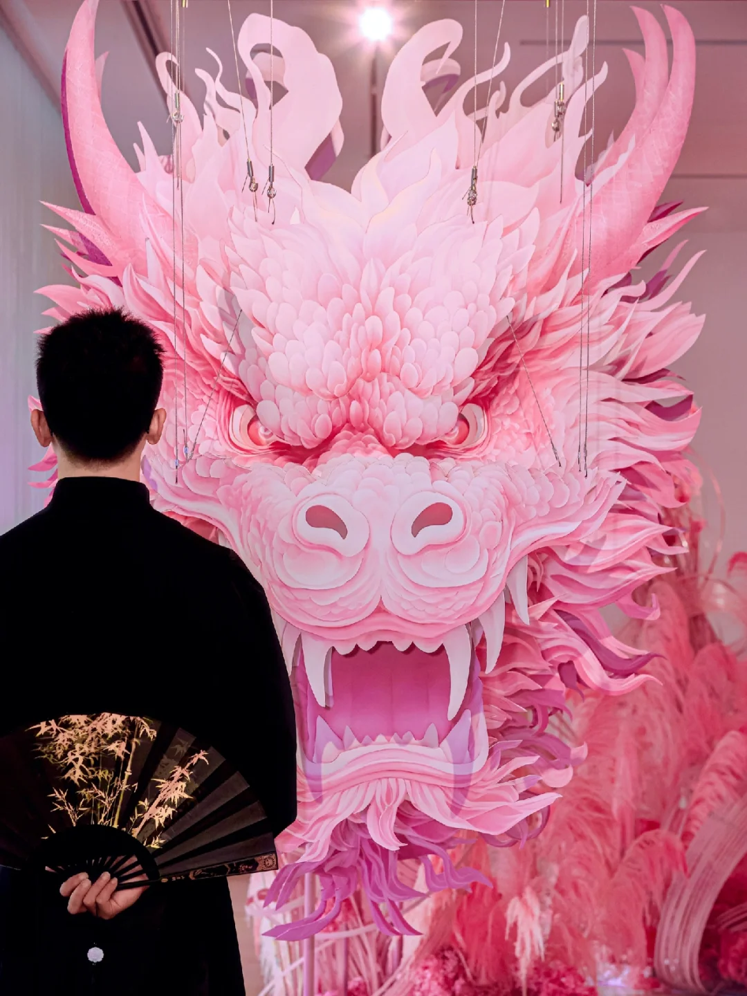 苏州‼️惊现‼️粉色🩷巨龙🐲这也太夸张了吧‼️