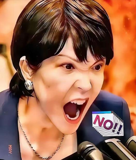 瞒天过海！日本藏得也太深了！5月14号，日本防卫政务官在国会被追问到无路可退，终