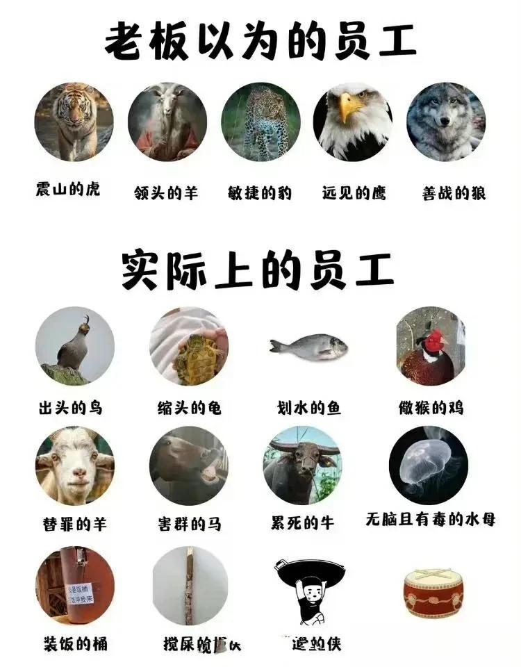 关于企业和员工！牛人总结的这一幅幅小图，一幅幅标识，到底有多逼真？来看看吧。