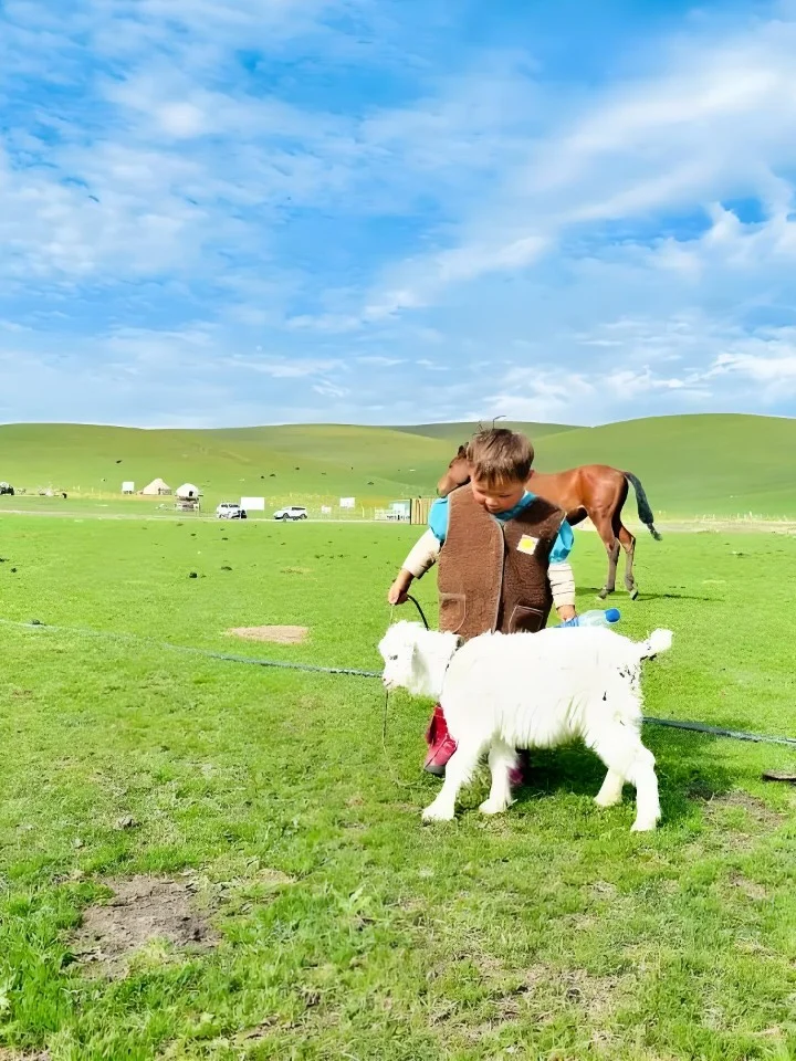 金秋南疆，赞叹黄金一片，经典5日游攻略