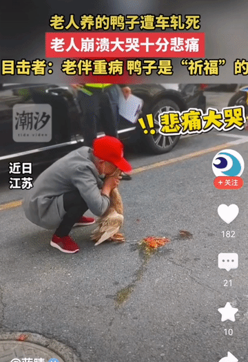 命太苦了！老伴得癌症，儿子疯了，儿媳乳腺癌，如今老奶奶唯一的精神寄托，这只鸭子也