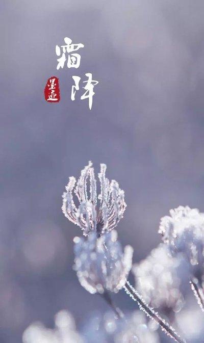 霜降，说下节气养生

上一个节气叫寒露，也就是水汽因为寒由气体变成液体（露珠），