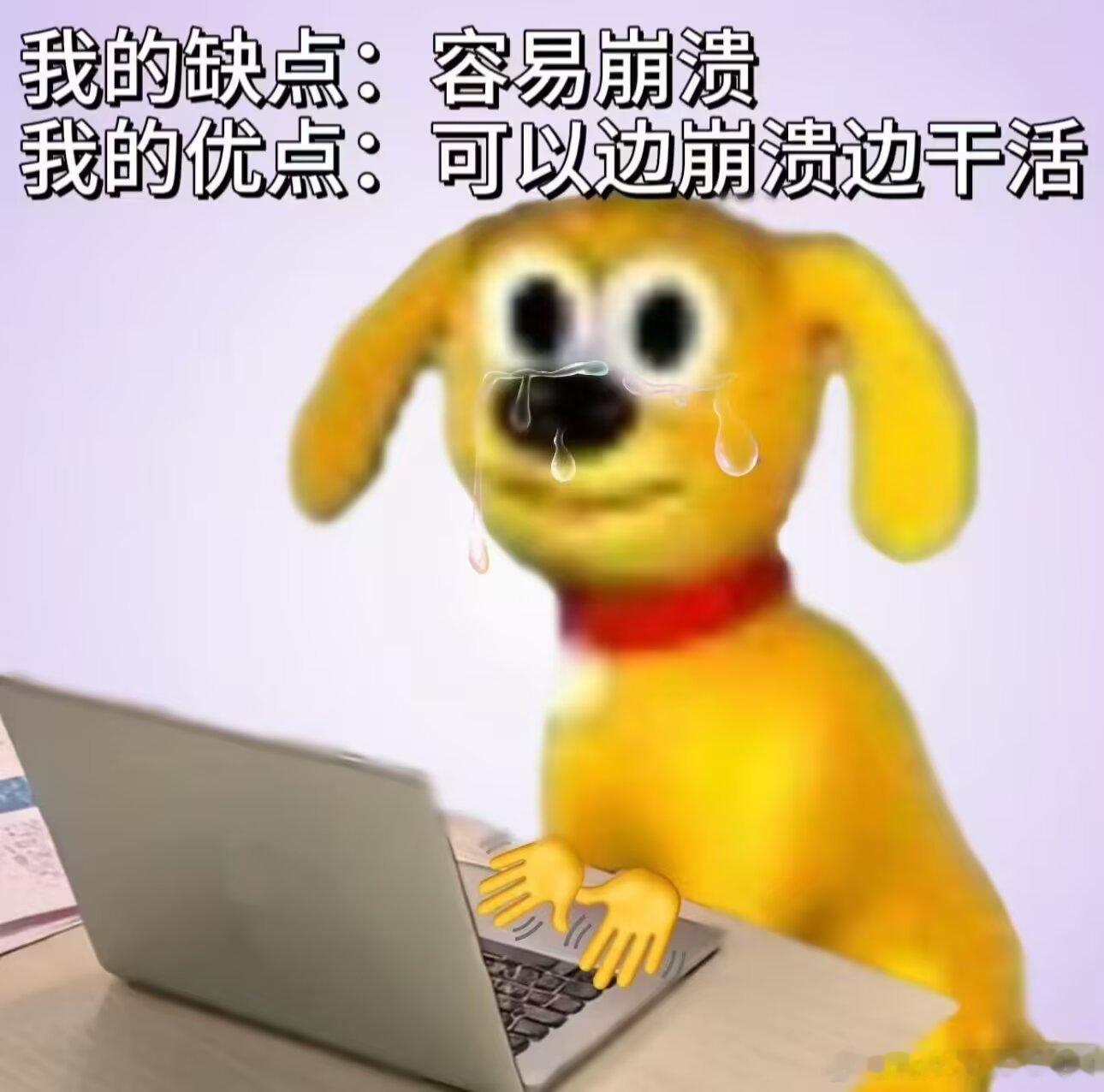 4162 