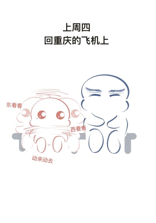 飞机上不要大惊小怪的～