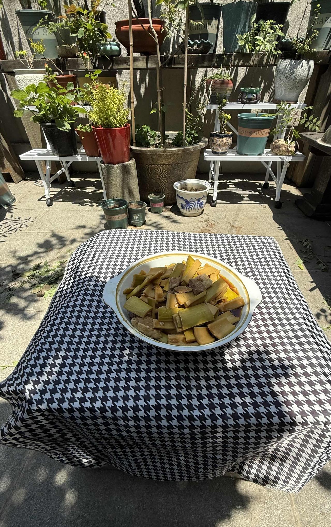昨天摇来装饰的毛竹成了今日的盘中餐🍲，早上用这些余料喂鸡，鸡都不吃。鸡践证明，