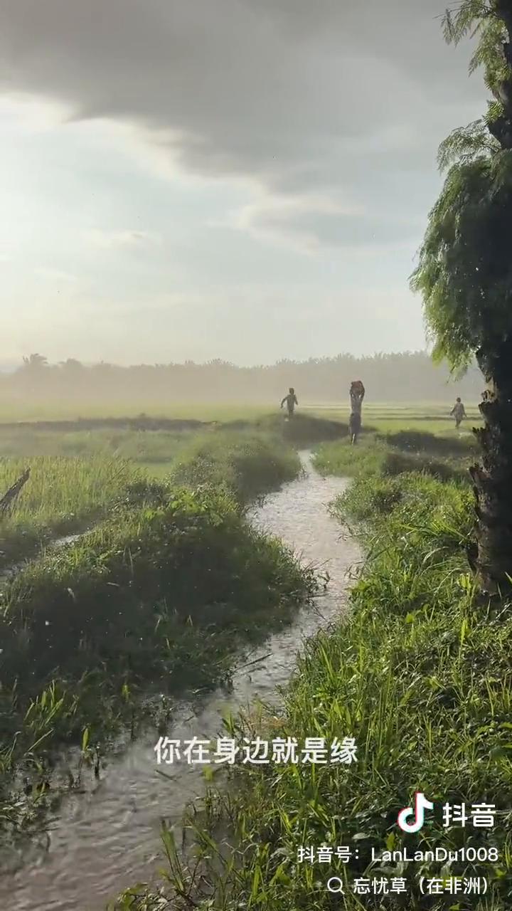 风到这里就是粘，粘住过客的思念。雨到了这里缠成线，看着我们留恋人世间。你在身边就