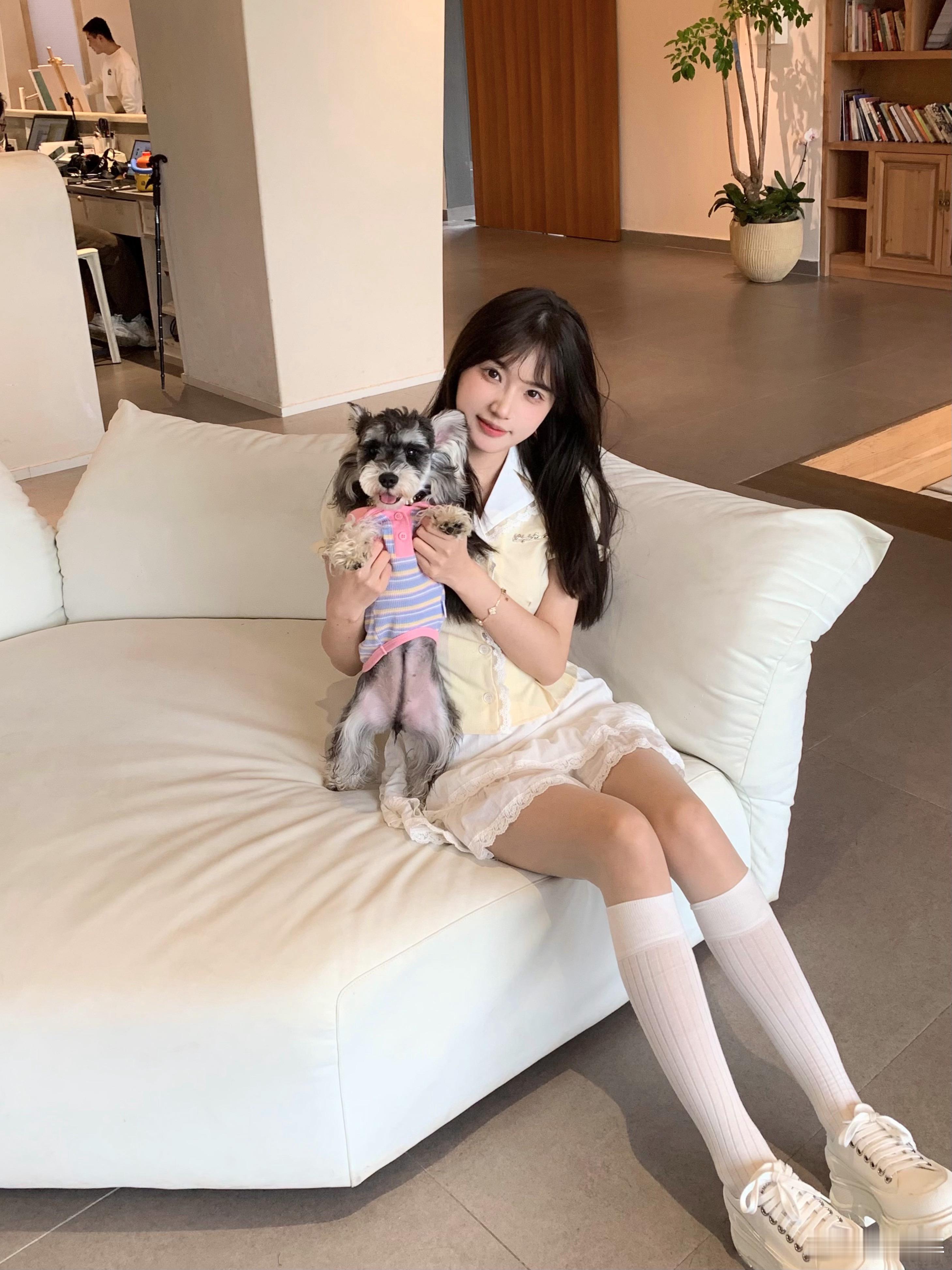 可爱狗狗 ​​​