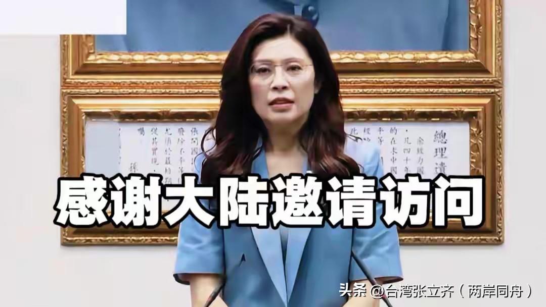 他们怕被绿营抹红影响选举，又揣着亲美小心思，既没格局也没担当。赵少康提无理要求，