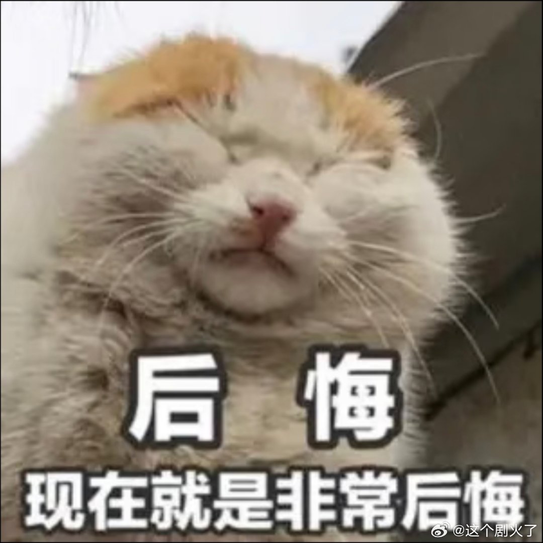 猫咪表情包。 