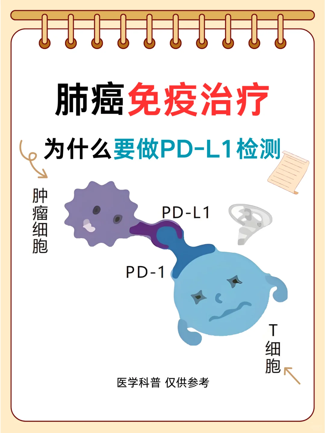 肺癌免疫治疗，PD-L1检测为何如此重要？