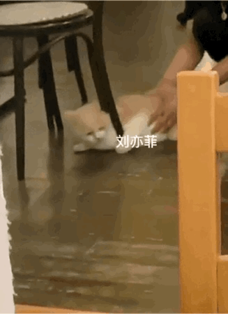 又得拿出这张图了刘亦菲